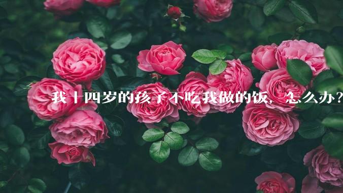 我十四岁的孩子不吃我做的饭，怎么办？