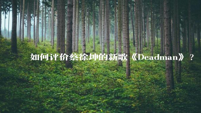 如何评价蔡徐坤的新歌《Deadman》?