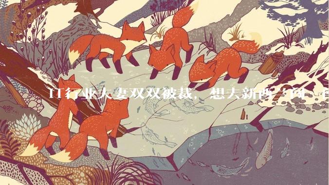 IT行业夫妻双双被裁，想去新西兰闯一闯可以吗？