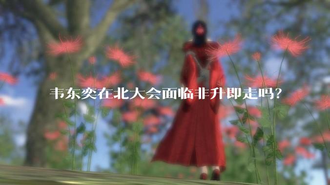 韦东奕在北大会面临非升即走吗？