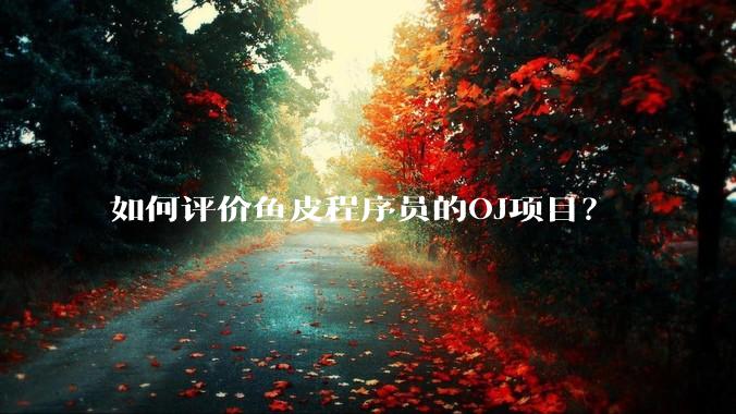如何评价鱼皮程序员的OJ项目？